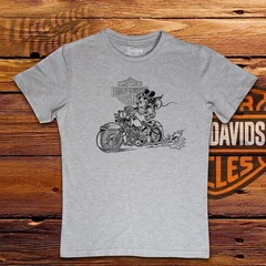 Harley Davidson, moto, bike, biker, мото, байк